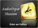 AmberDepot Museum