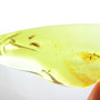 Baltic Two Biting Midges In Dominican Amber