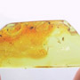 Baltic Two Long Legegd Flies In Dominican Amber
