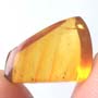 Rare Two Eggs In Dominican Amber