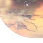 Rare Two Mosquitos In Dominican Amber