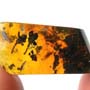 Rare Stamen With Pollen Coming Out In Dominican Amber