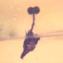 Rare Two Unusual Flower With Stamen And Caddisfly With Seven Eggs In Dominican Amber