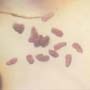 Rare Twenty Two Eggs In Dominican Amber