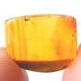 Rare Two Eggs, Thrip, Elongate Springtail And Mite In Dominican Amber