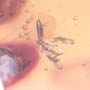 Rare Six Eggs, Scuttle Fly And Gall Midge In Dominican Amber
