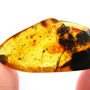 Rare Six Eggs In Dominican Amber