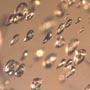 Rare Awesome Field Of Bubbles And Scelionid Wasp In Dominican Amber