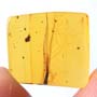Rare Breached Winged Seed In Dominican Amber.