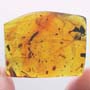 Rare Bunch Of Egg And Moth Fly In Dominican Amber