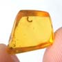 Rare Caterpillar In Dominican Amber