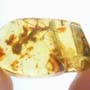 Rare Crane Fly With Bunch Of Eggs In Dominican Amber