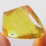 Rare Egg In Dominican Amber