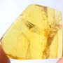 Rare Eggs And Two Gall Midge In Dominican Amber.