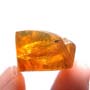 Rare Fly With Genital Coming Out In Dominican Amber