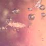 Rare Fungus Gnat With Twenty Eggs, Spider And Four Elongate Springtail In Dominican Amber.