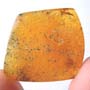Rare Gnat Bug In Dominican Amber