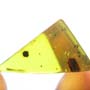 Rare One Egg And Jumping Plant Lice In Dominican Amber