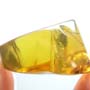 Rare Twelve Eggs In Dominican Amber