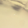 Common Three Eggs In Dominican Amber