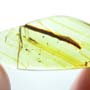 Rare Four Eggs In Dominican Amber