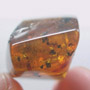 Rare Ant Pupa In Dominican Amber