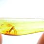 Rare Four Eggs In Dominican Amber