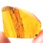 Rare Millipede And Two Worker Ants In Dominican Amber.