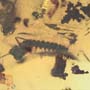 Rare Millipede In Dominican Amber.