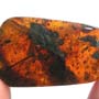 Rare Millipede In Dominican Amber