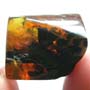 Rare Millipede In Dominican Amber