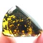 Rare Mosquito In Dominican Amber.
