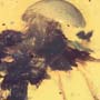 Rare Mushroom In Dominican Amber