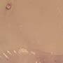 Rare Possible Baby Tick And Male Ant In Dominican Amber