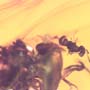 Rare Stingless Bee With Wasp On Its Head In Dominican Amber