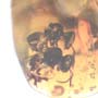 Rare Stingless Bee Riding On Another Stingless Bee And Two Stingless Bee In Dominican Amber