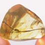 Rare Worker Ant Clinging On A Twig And Two Worker Ants In Dominican Amber.