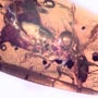 Rare Large Bloated Worker Termite In Dominican Amber.