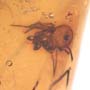 Rare Larva Of Branchypsectidae, Spider, Sphead Wasp, Mite And Two Fairy Fly In Dominican Amber.