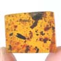 Rare Opening Seed In Dominican Amber.